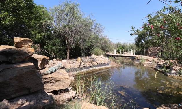 Sale - Country House - Catral