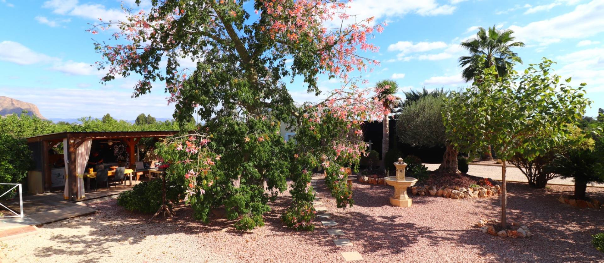 Bestaande woningen - Landelijk huis - Orihuela