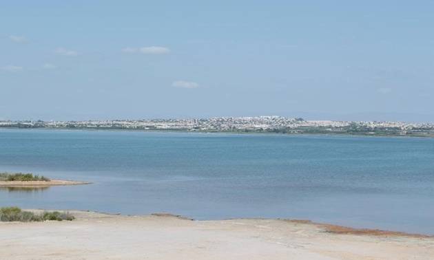 Revente - Apartment - La Mata