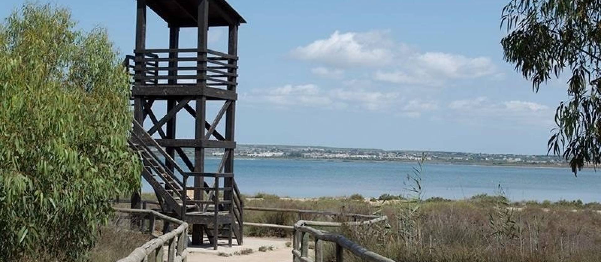 Revente - Apartment - La Mata