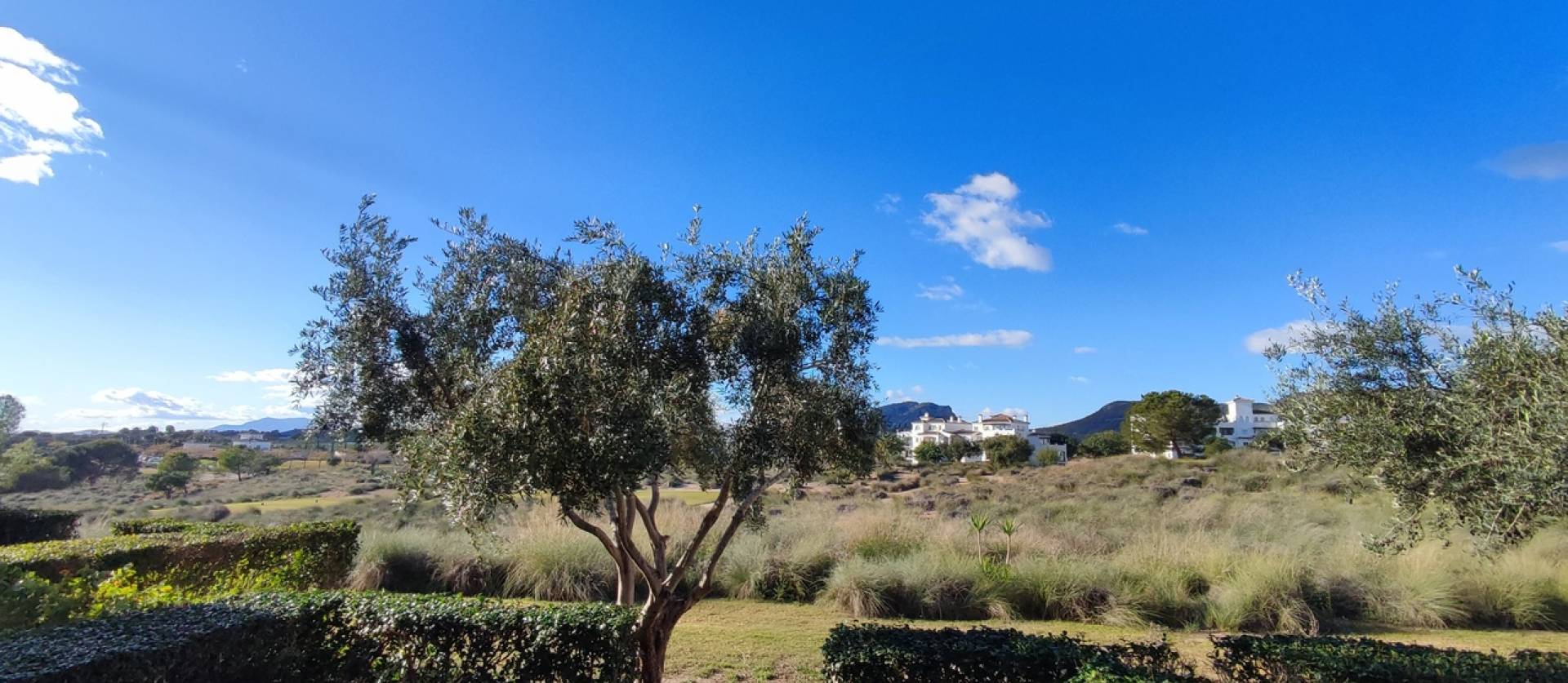 Bestaande woningen - Appartment - Hacienda Riquelme Golf Resort