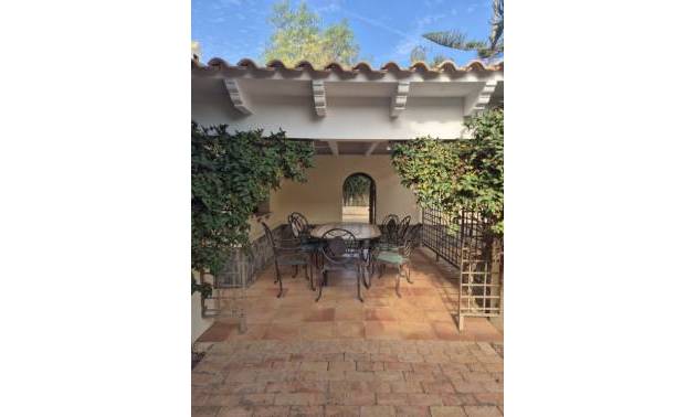 Bestaande woningen - Landelijk huis - Daya Vieja