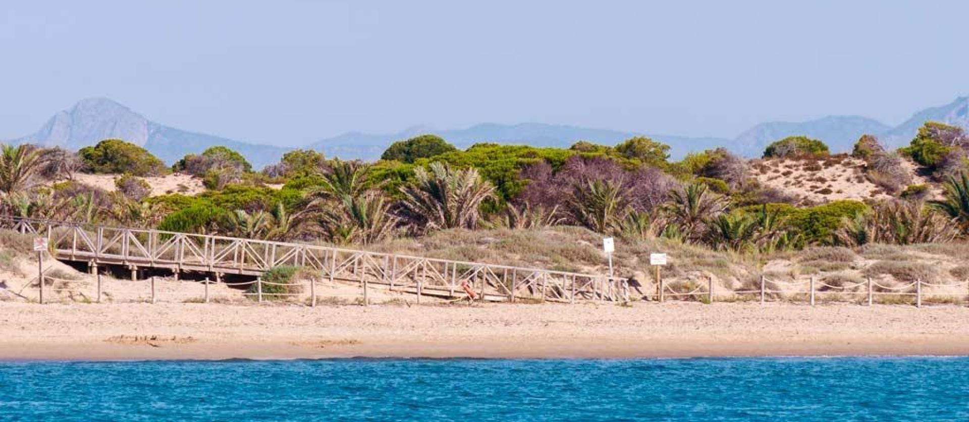 Nieuwbouw projecten - Appartment - Guardamar del Segura - Pueblo