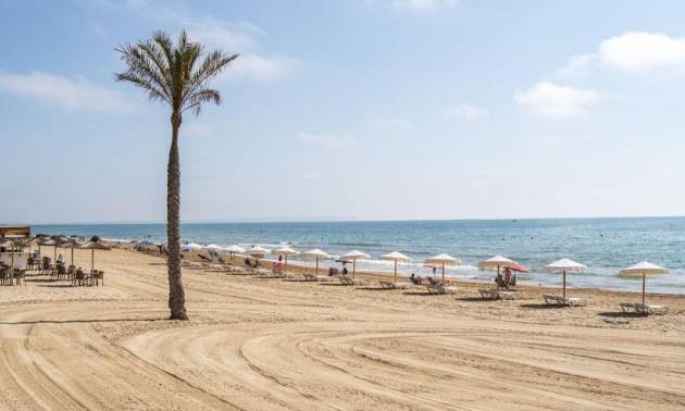 Nieuwbouw projecten - Appartment - Guardamar del Segura - Pueblo