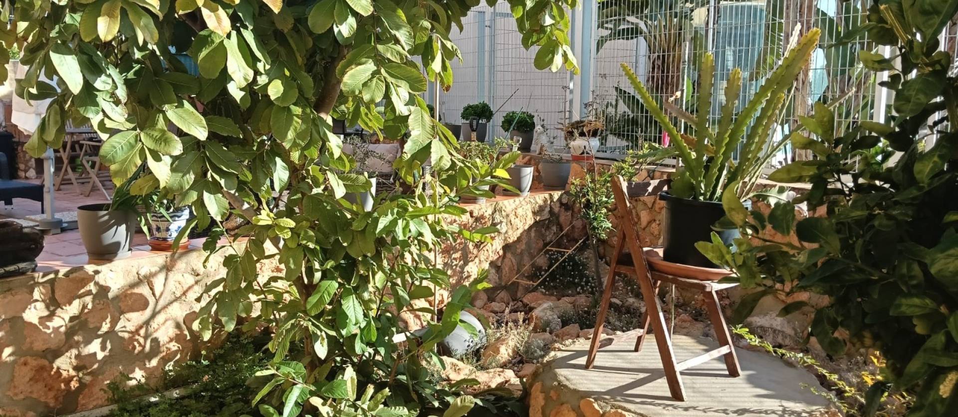 Venta -  - Los Montesinos - La Herrada