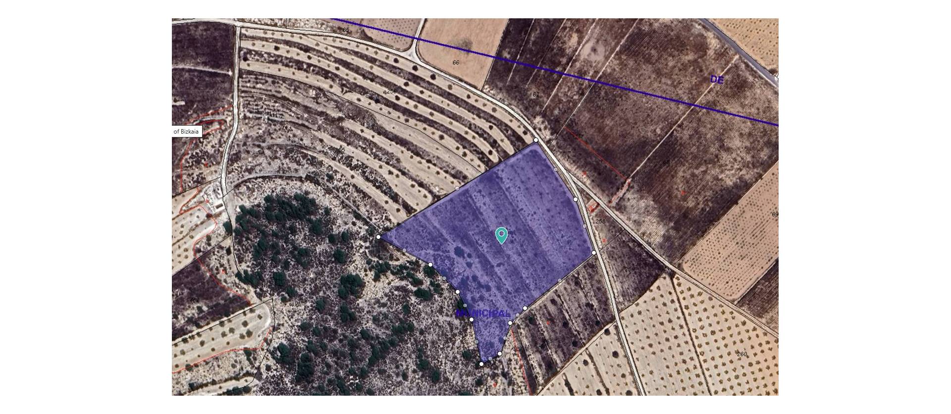 Sale - Land - Abanilla