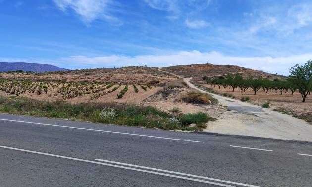 Sale - Land - Pinoso