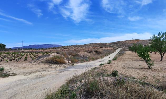 Sale - Land - Pinoso