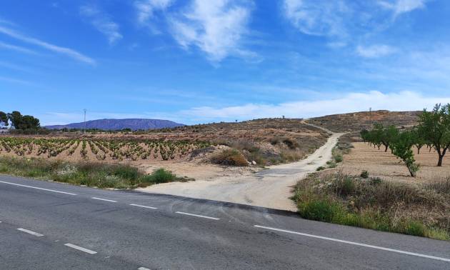 Sale - Land - Pinoso