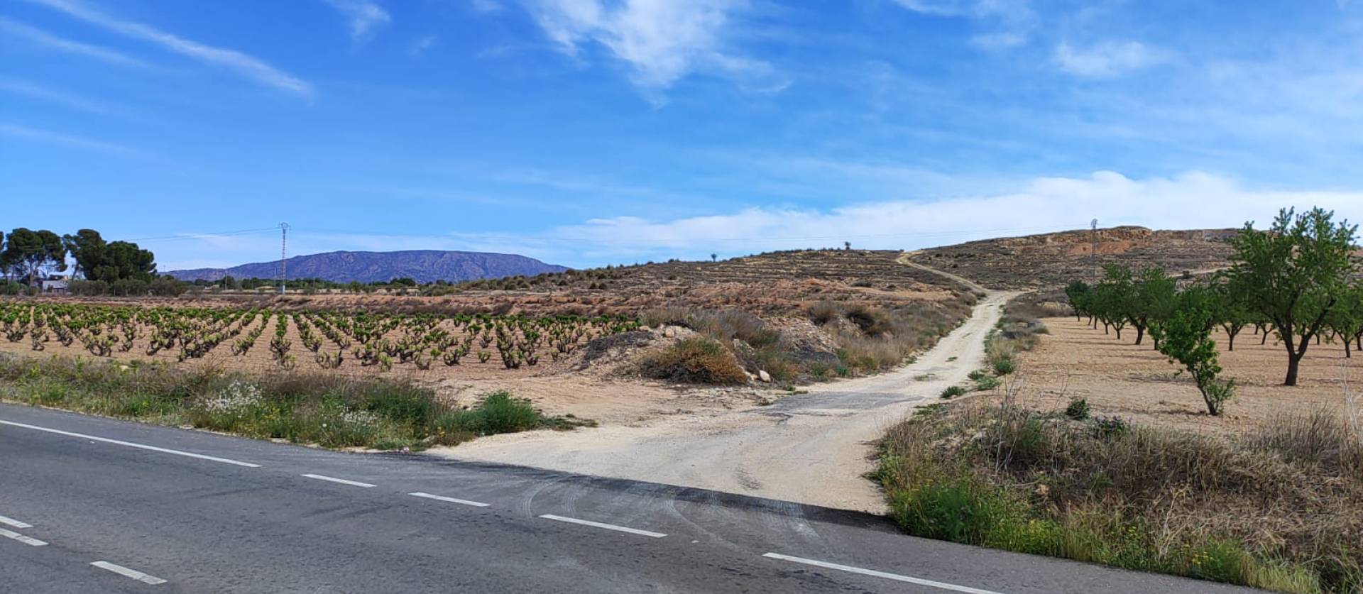 Sale - Land - Pinoso