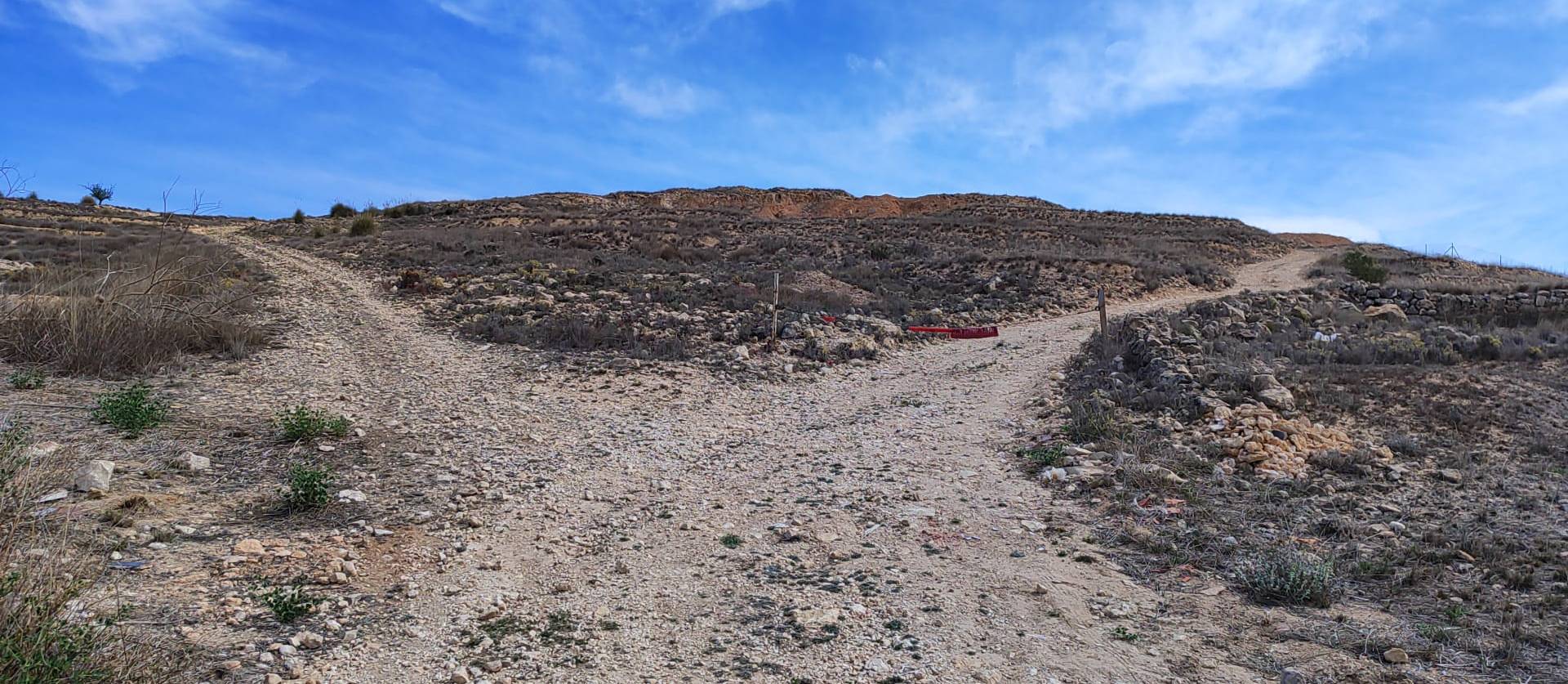 Sale - Land - Pinoso