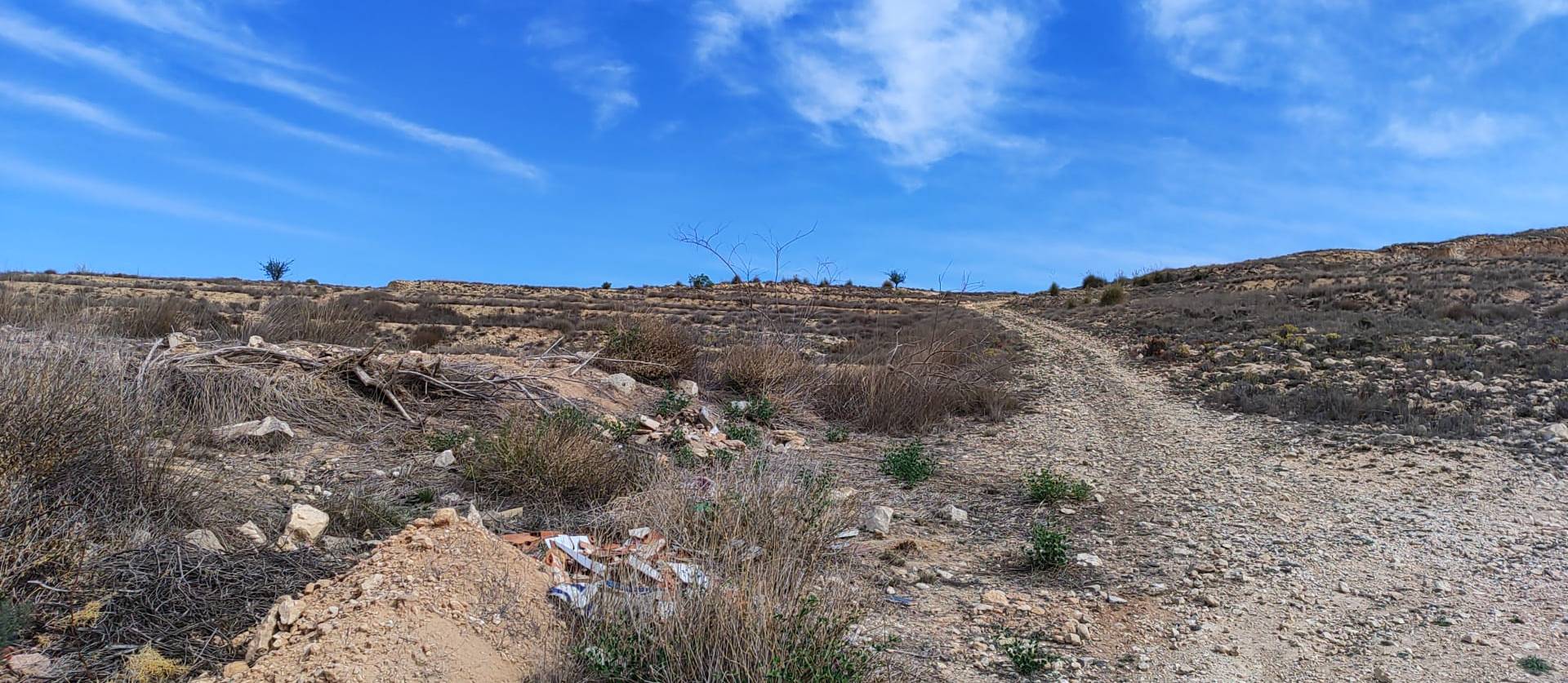 Sale - Land - Pinoso