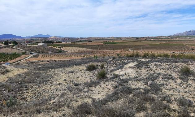 Sale - Land - Pinoso