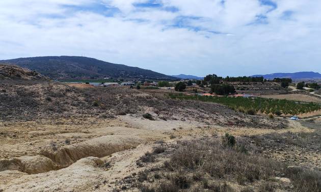 Sale - Land - Pinoso