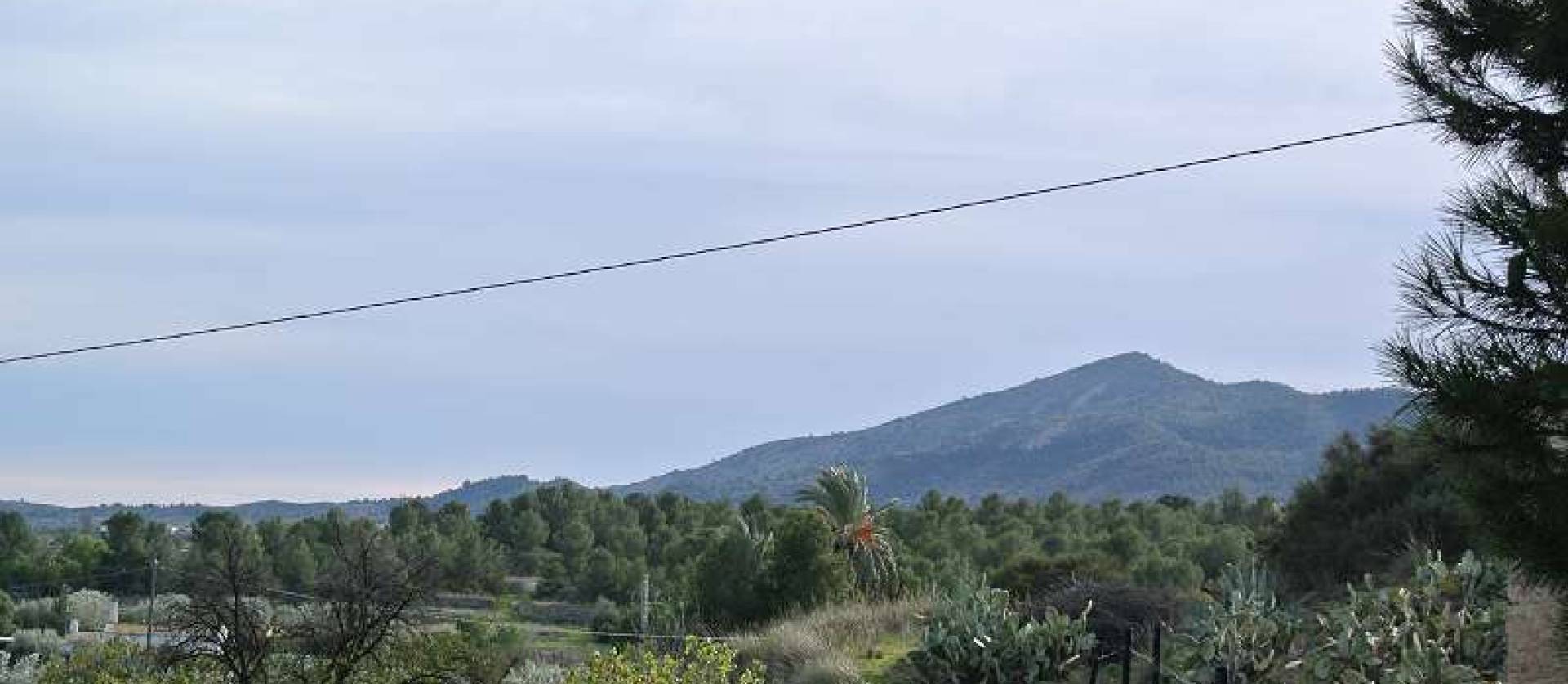 Bestaande woningen - Landelijk huis - Monovar