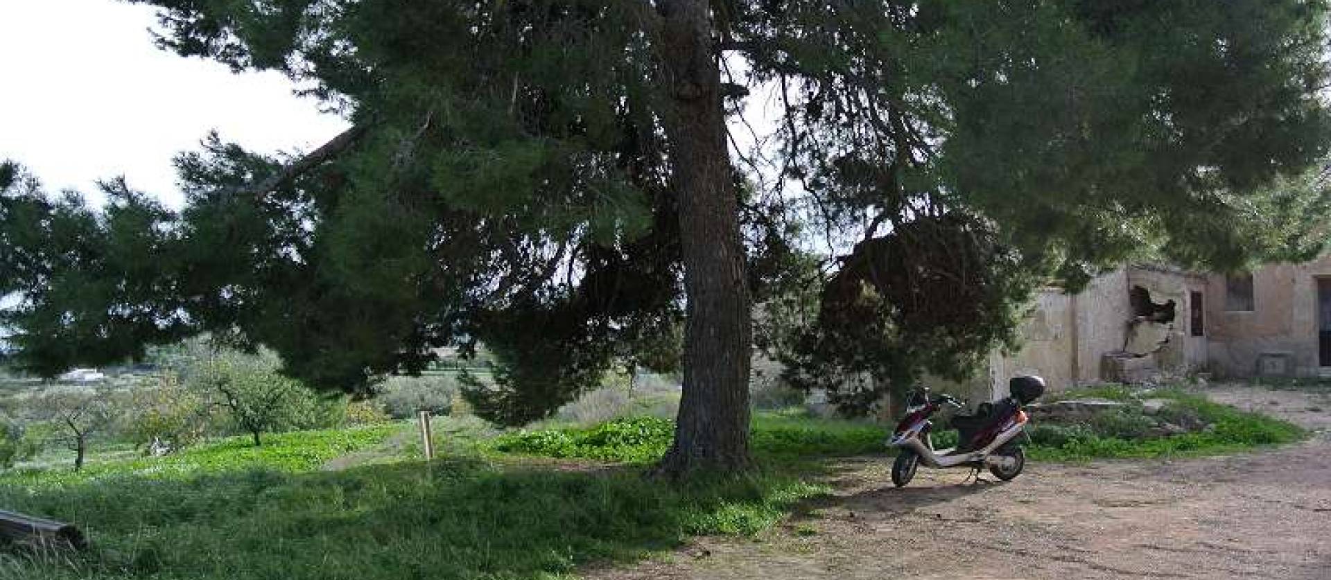 Bestaande woningen - Landelijk huis - Monovar