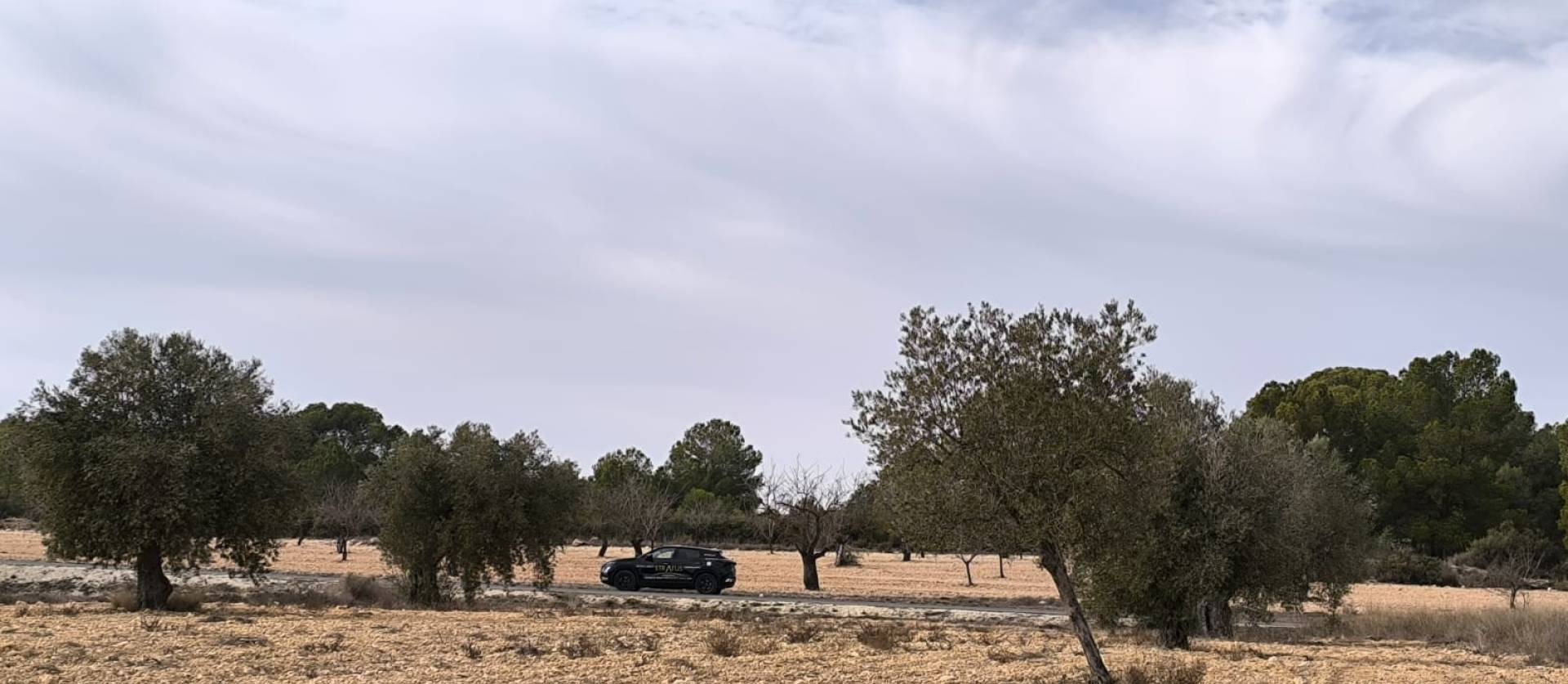 Revente - Villa - Monovar