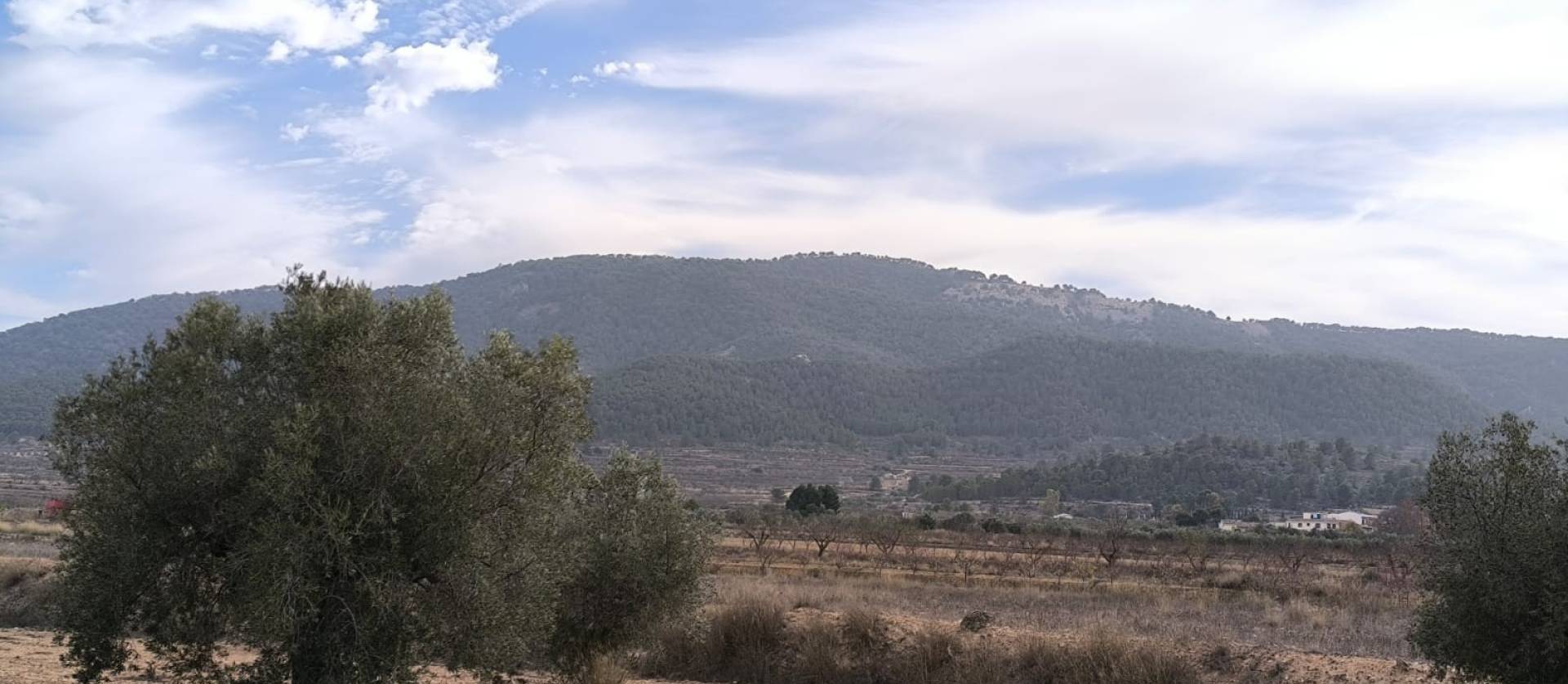 Revente - Villa - Monovar