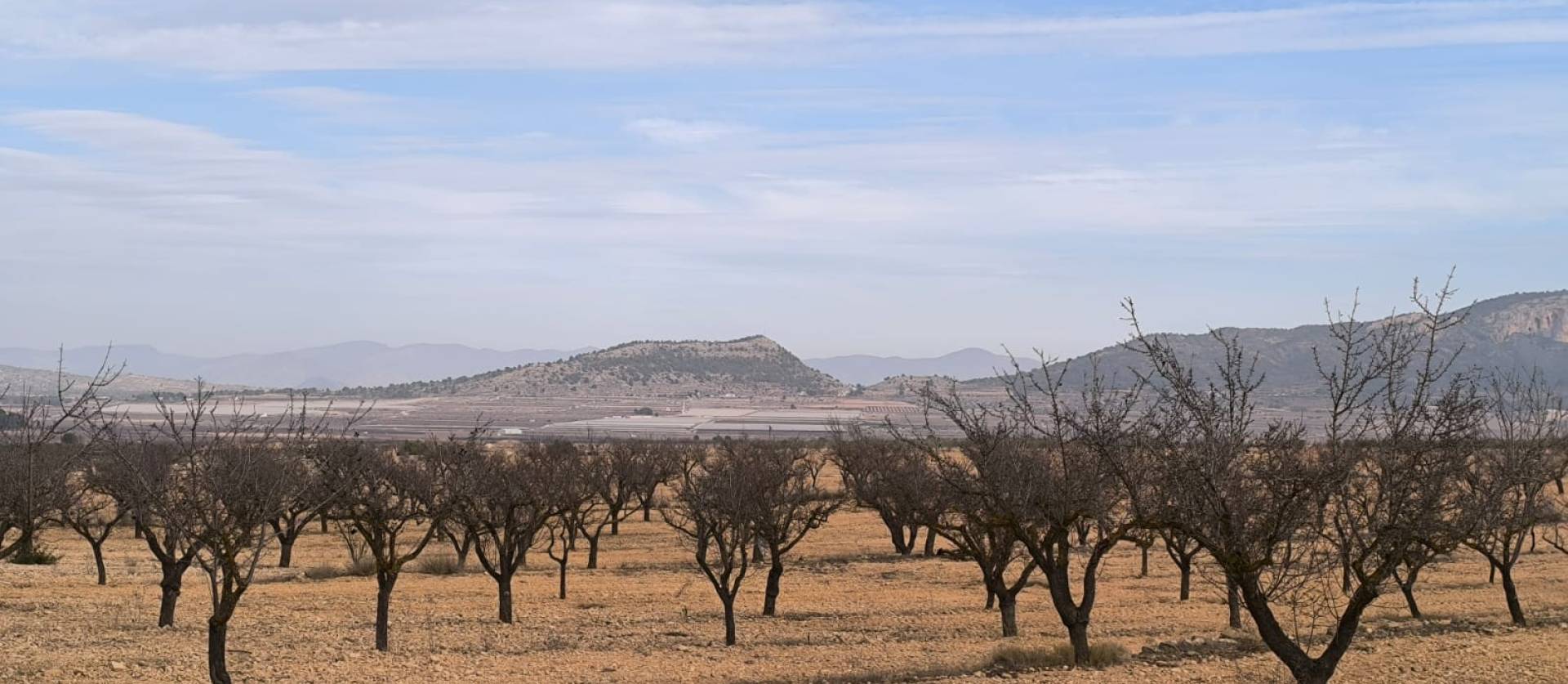 Revente - Villa - Monovar