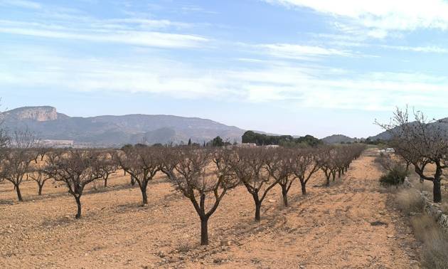 Revente - Villa - Monovar