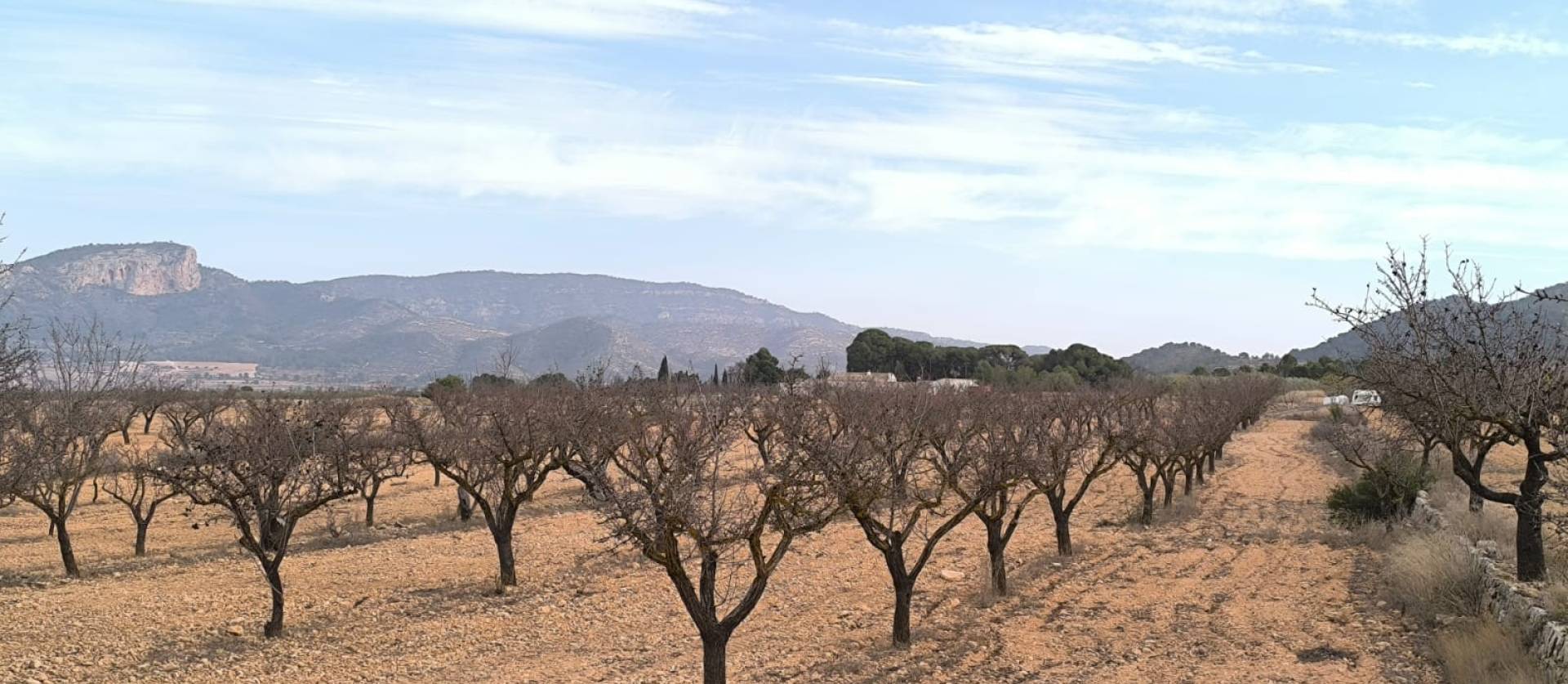 Revente - Villa - Monovar