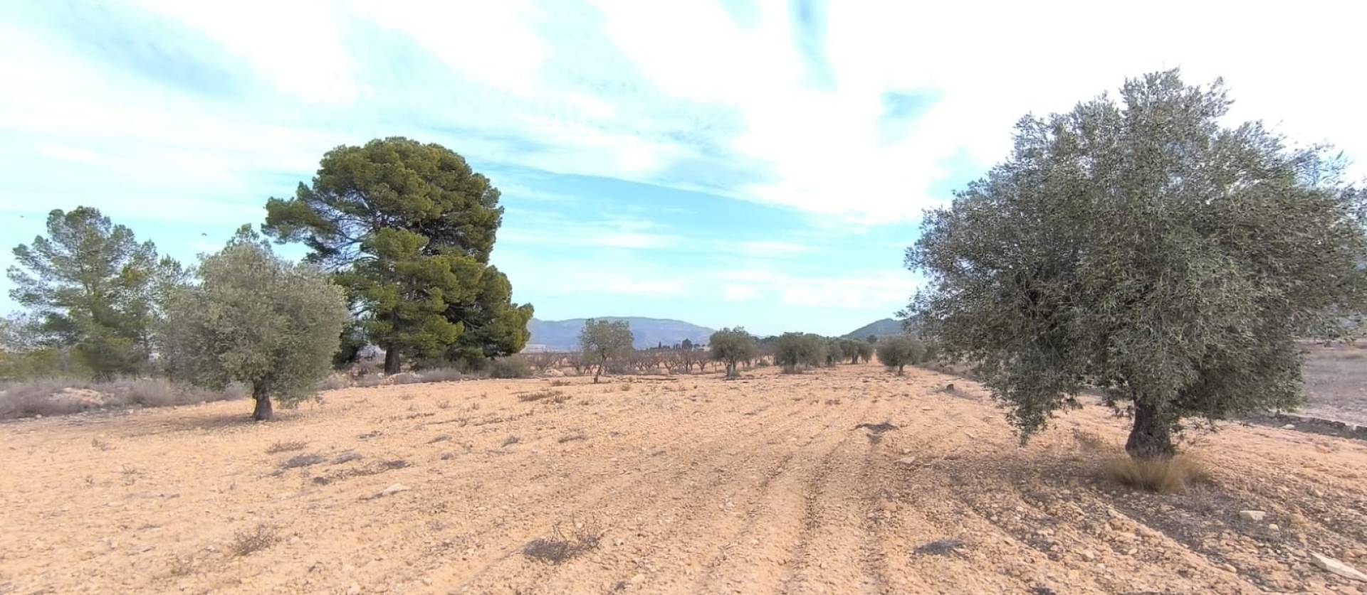 Revente - Villa - Monovar