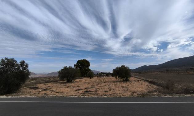 Revente - Villa - Monovar