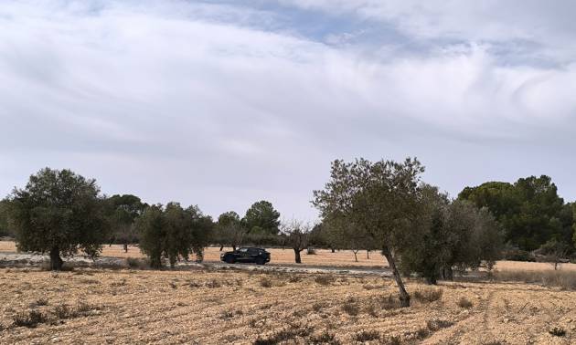 Bestaande woningen - Villa - Monovar