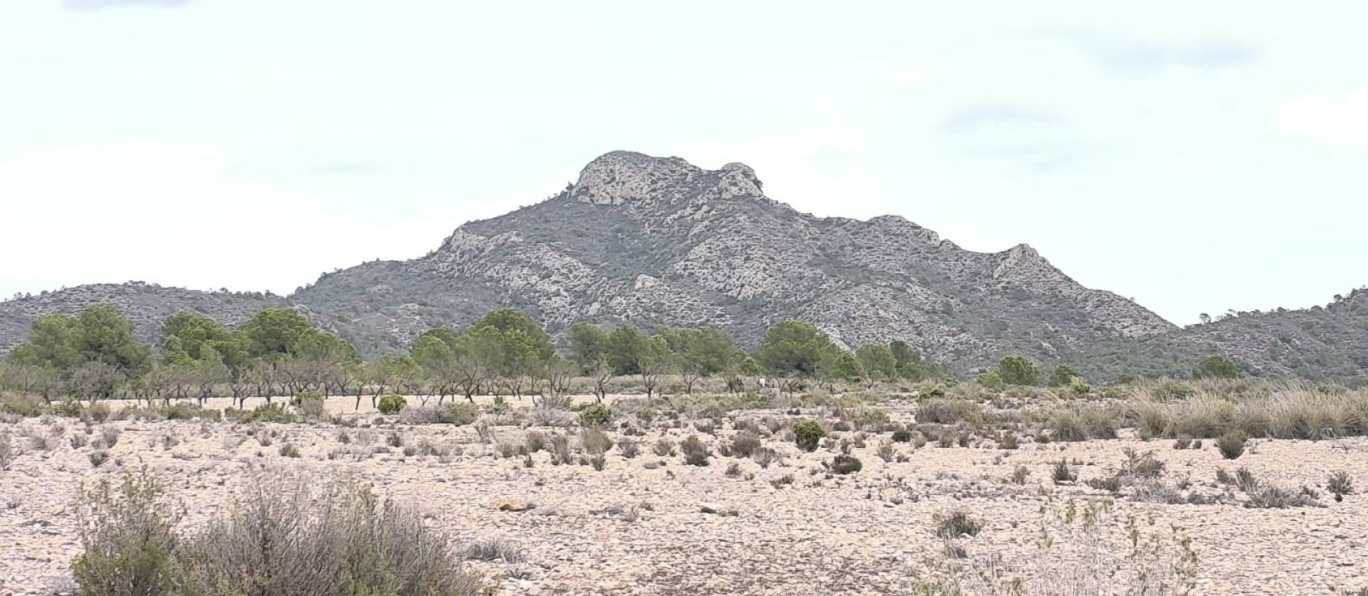 Bestaande woningen - Land - Salinas