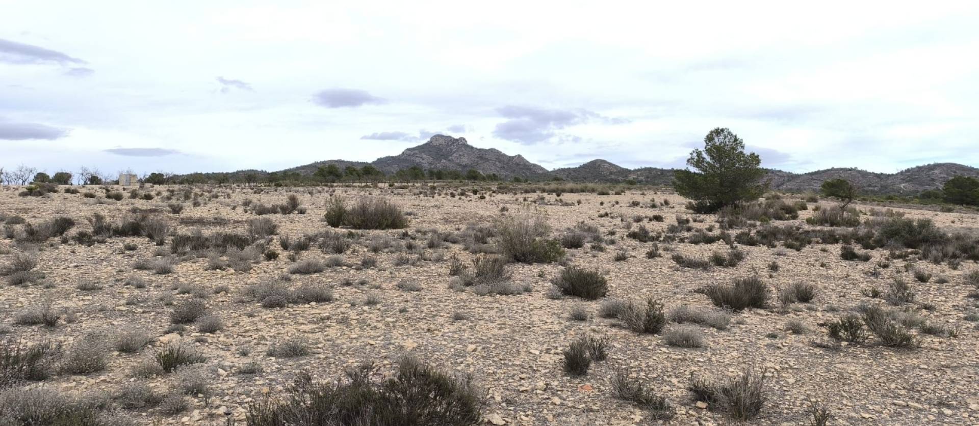 Bestaande woningen - Land - Salinas