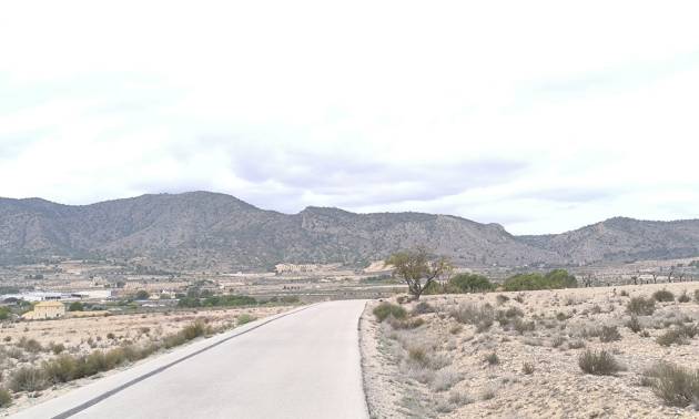 Bestaande woningen - Land - Salinas