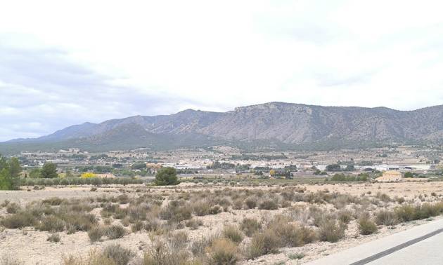 Bestaande woningen - Land - Salinas