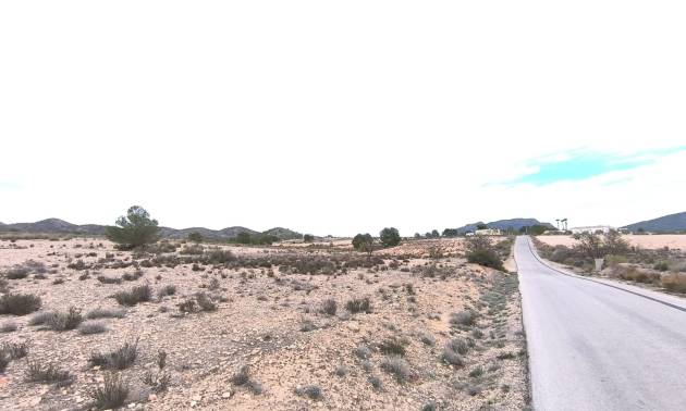 Bestaande woningen - Land - Salinas