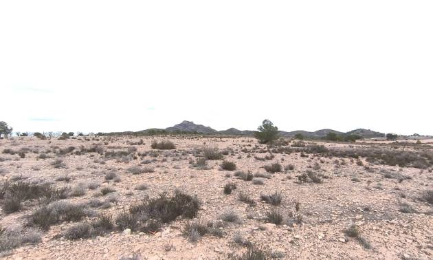 Bestaande woningen - Land - Salinas