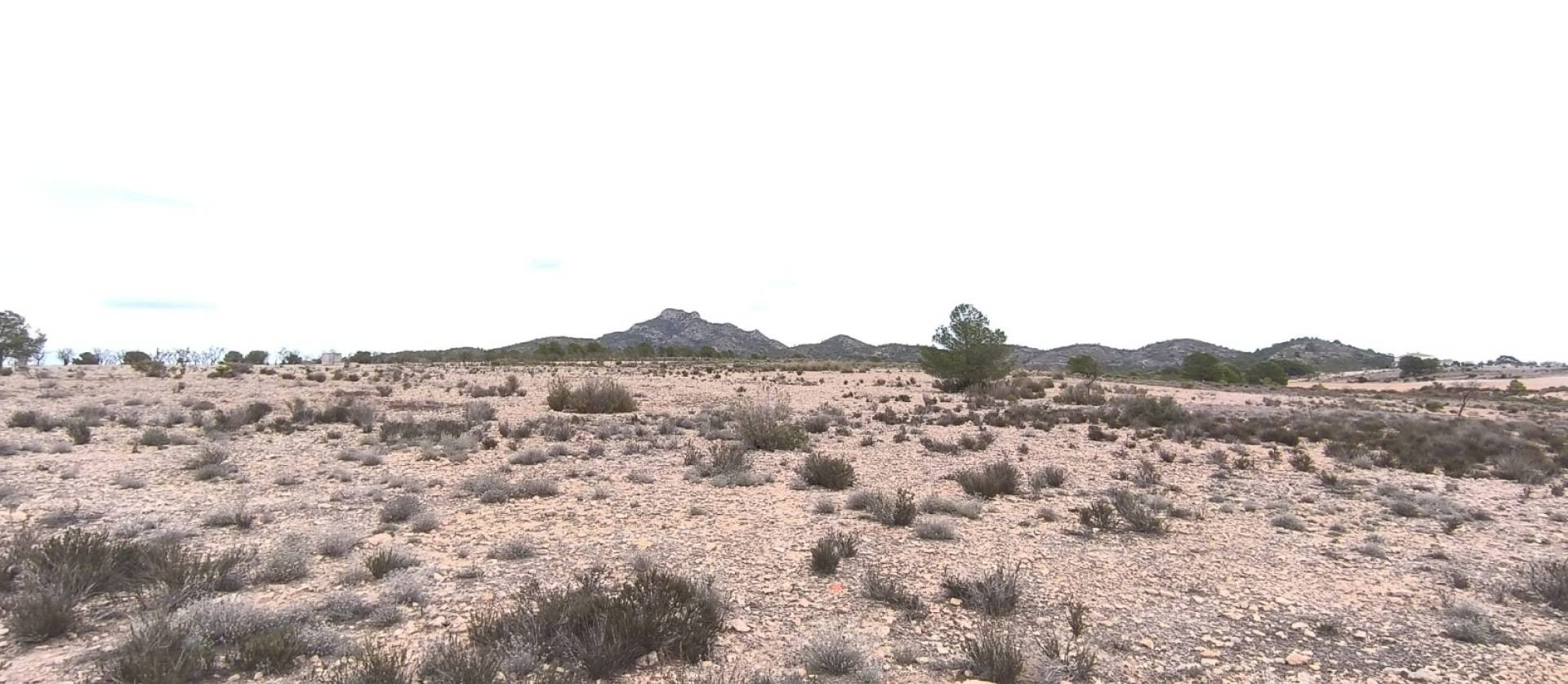 Bestaande woningen - Land - Salinas