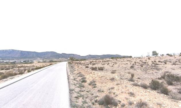 Bestaande woningen - Land - Salinas