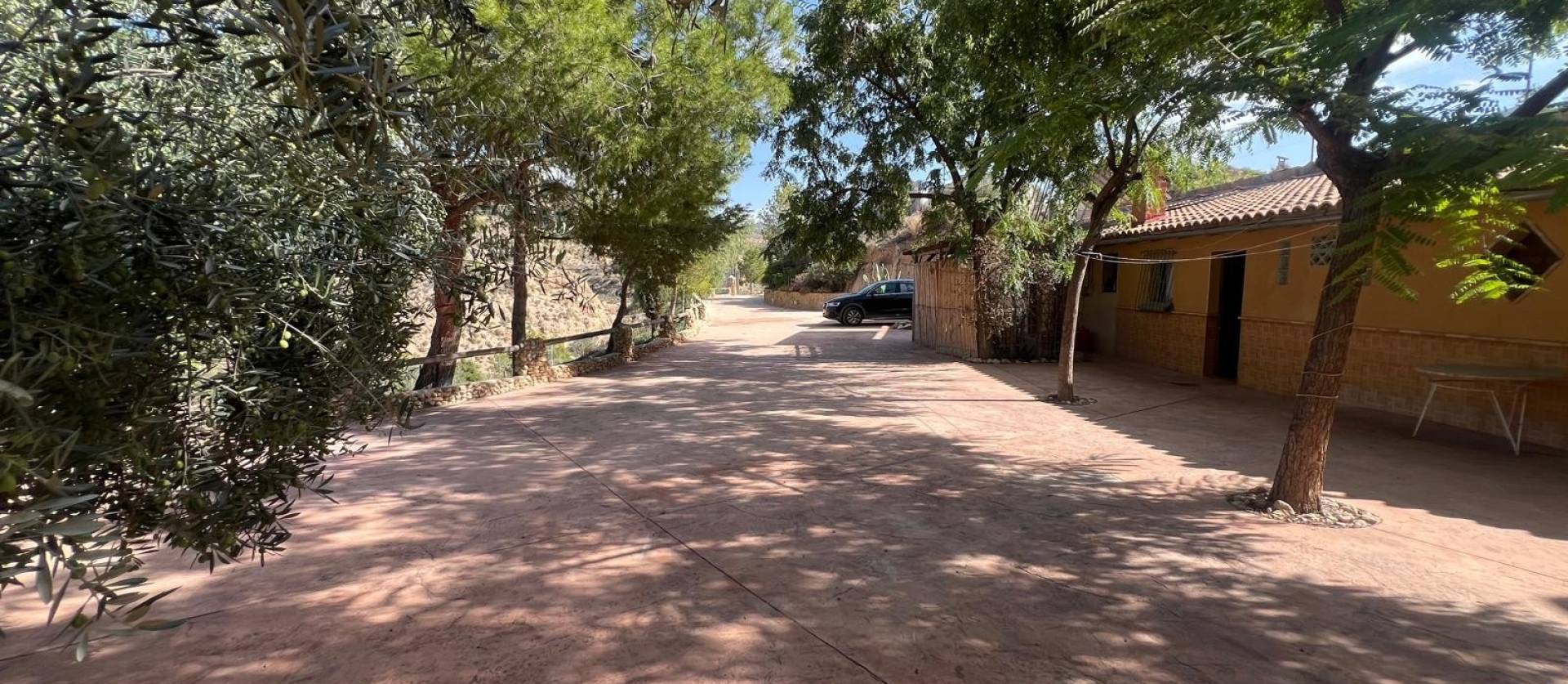 Revente - Commercial - Abanilla