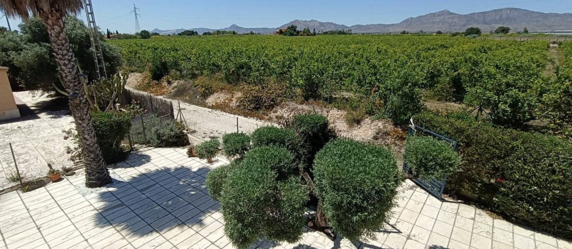 Bestaande woningen - Landelijk huis - Albatera