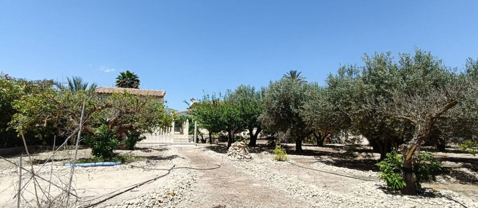 Bestaande woningen - Landelijk huis - Albatera