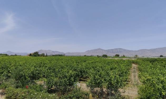 Bestaande woningen - Landelijk huis - Albatera