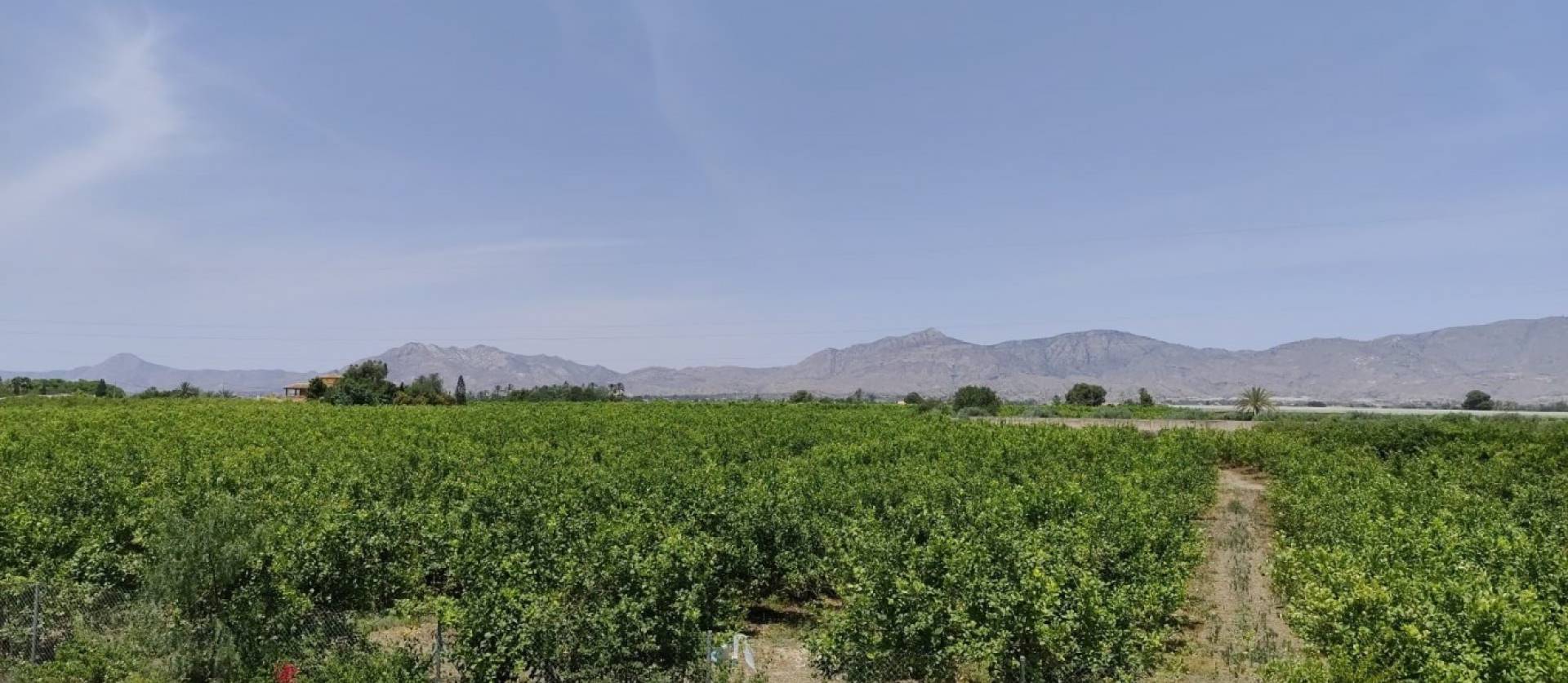 Bestaande woningen - Landelijk huis - Albatera