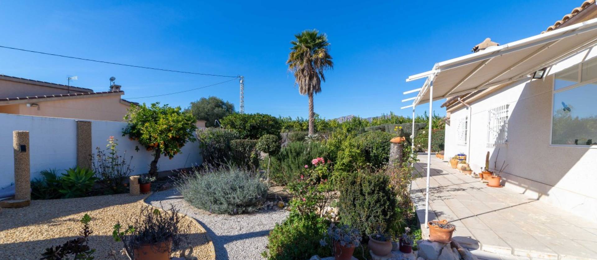 Revente - Country House - Albatera