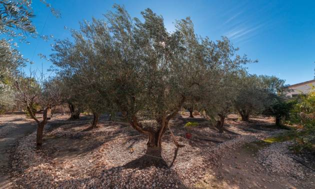 Revente - Country House - Albatera