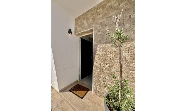 Sale - Villa - Benijofar