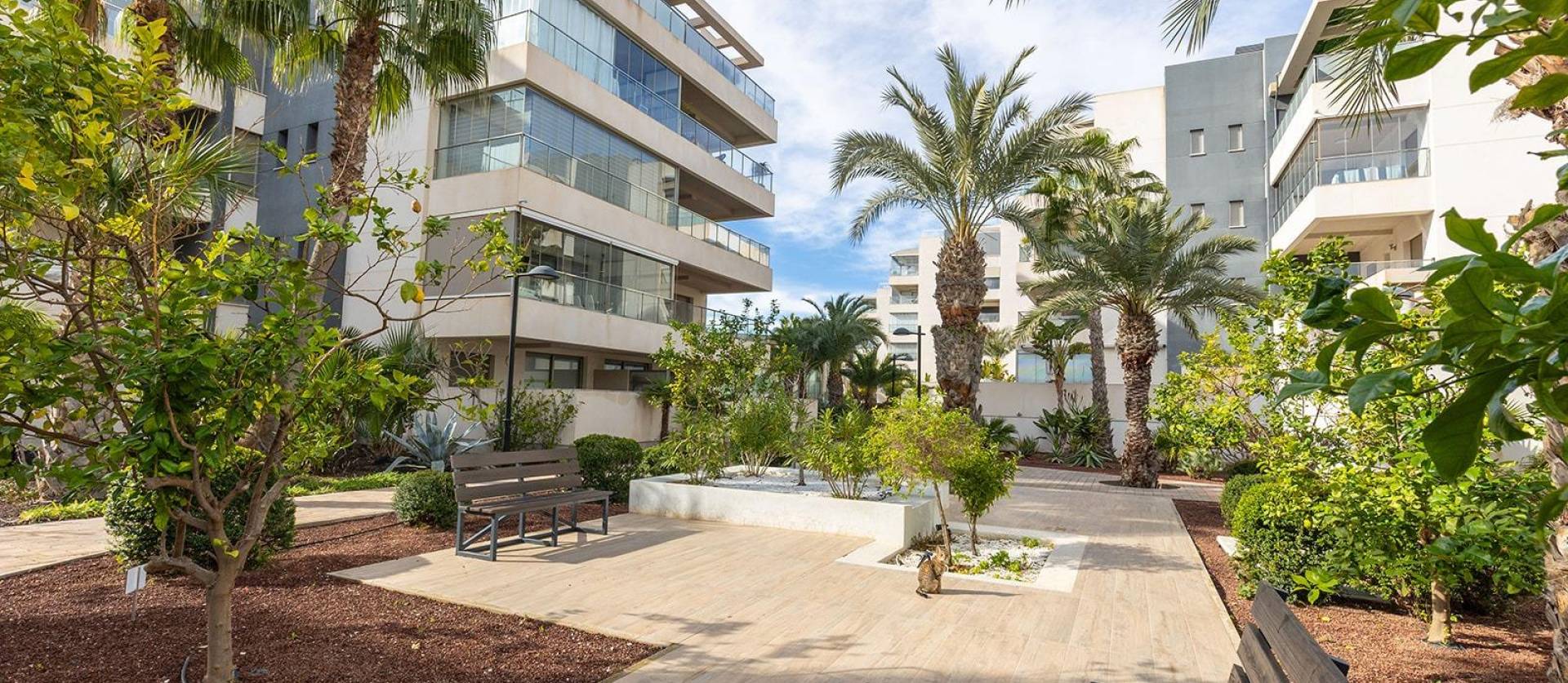 Venta - Apartment - Orihuela Costa - Los Dolses