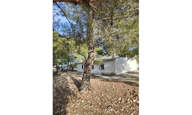 Bestaande woningen - Landelijk huis - Yecla