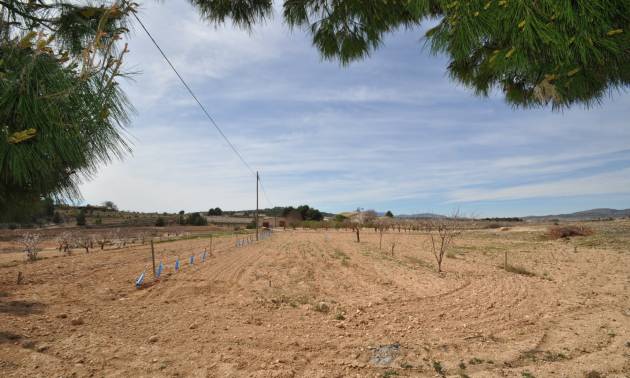 Revente - Country House - Monovar