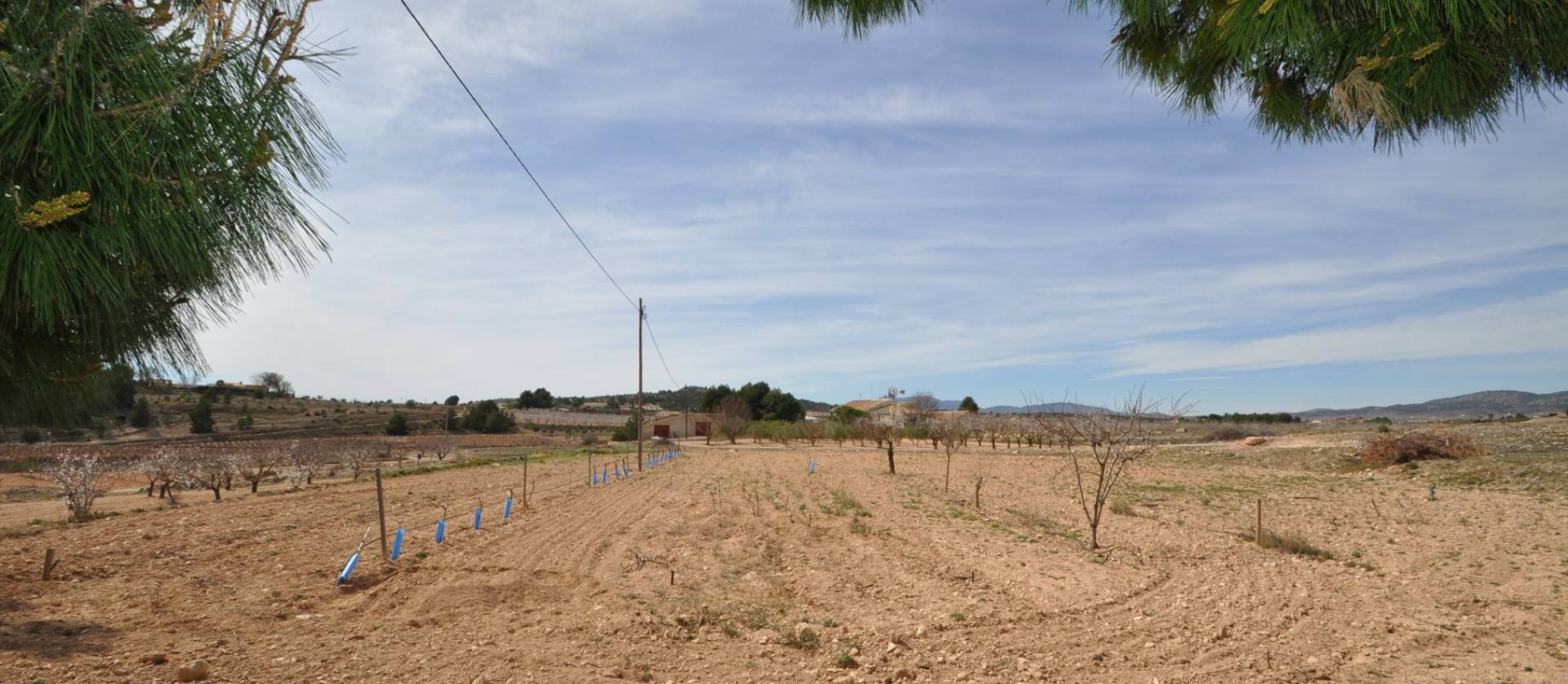 Revente - Country House - Monovar