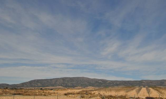 Revente - Country House - Monovar