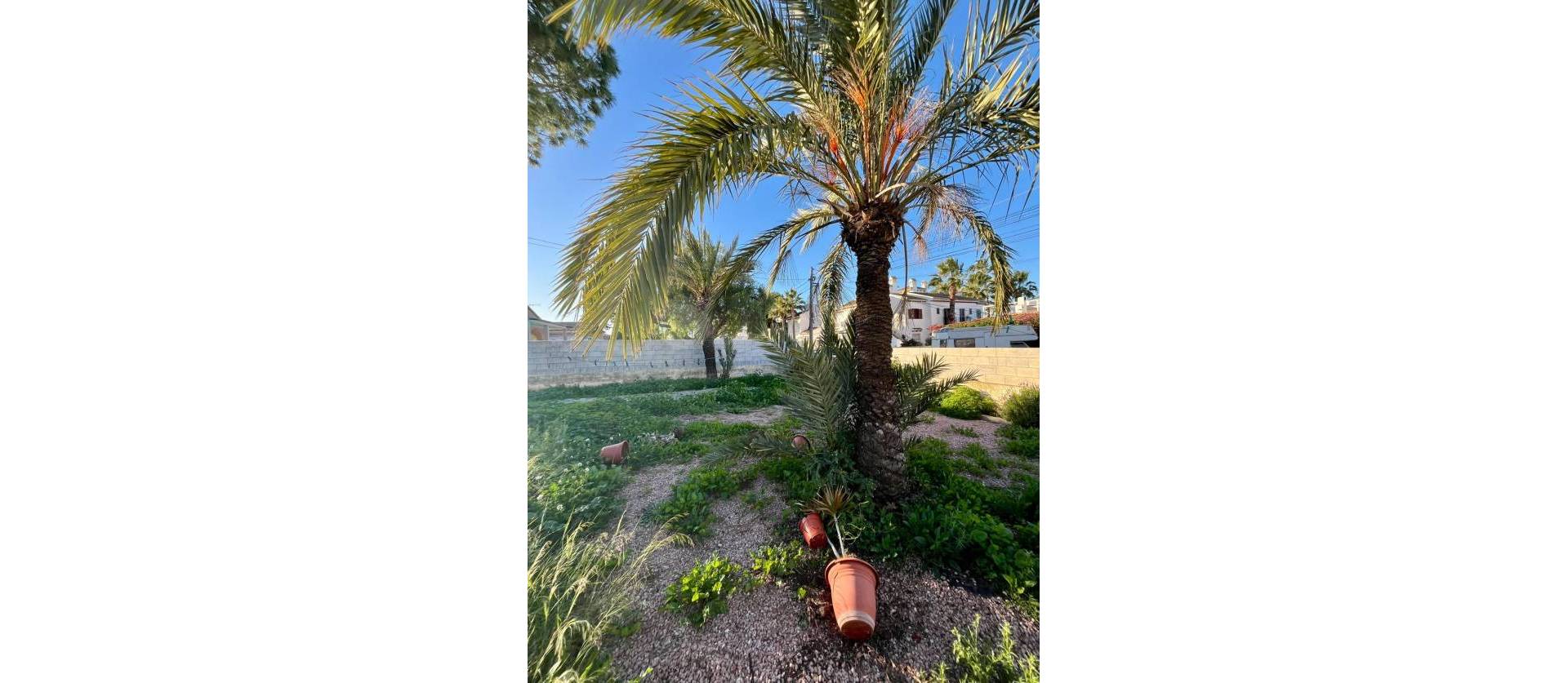 Venta - Villa - Torrevieja - Aguas Nuevas